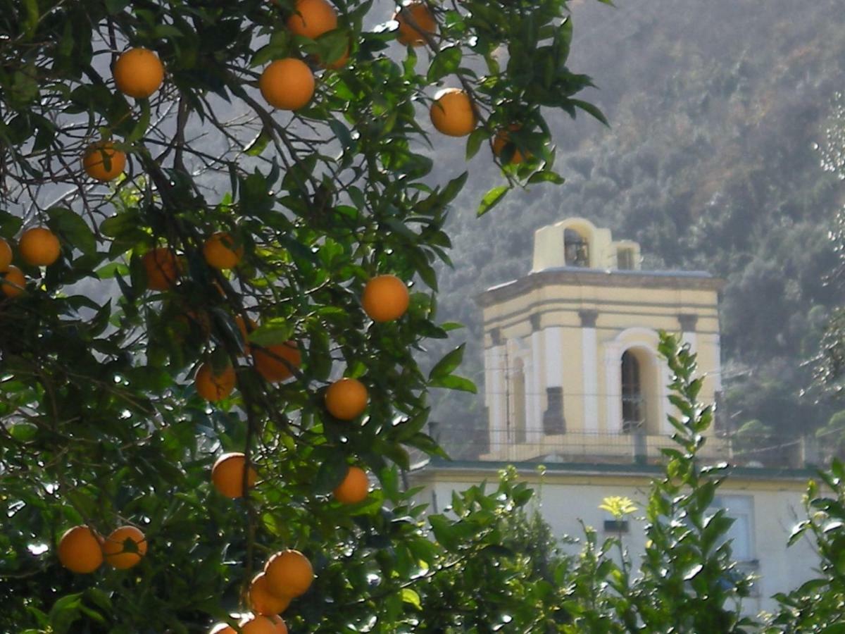 Apartmán Casa De Angelis Orange & Blue Sant'Agnello Exteriér fotografie